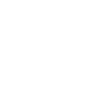 주요실적